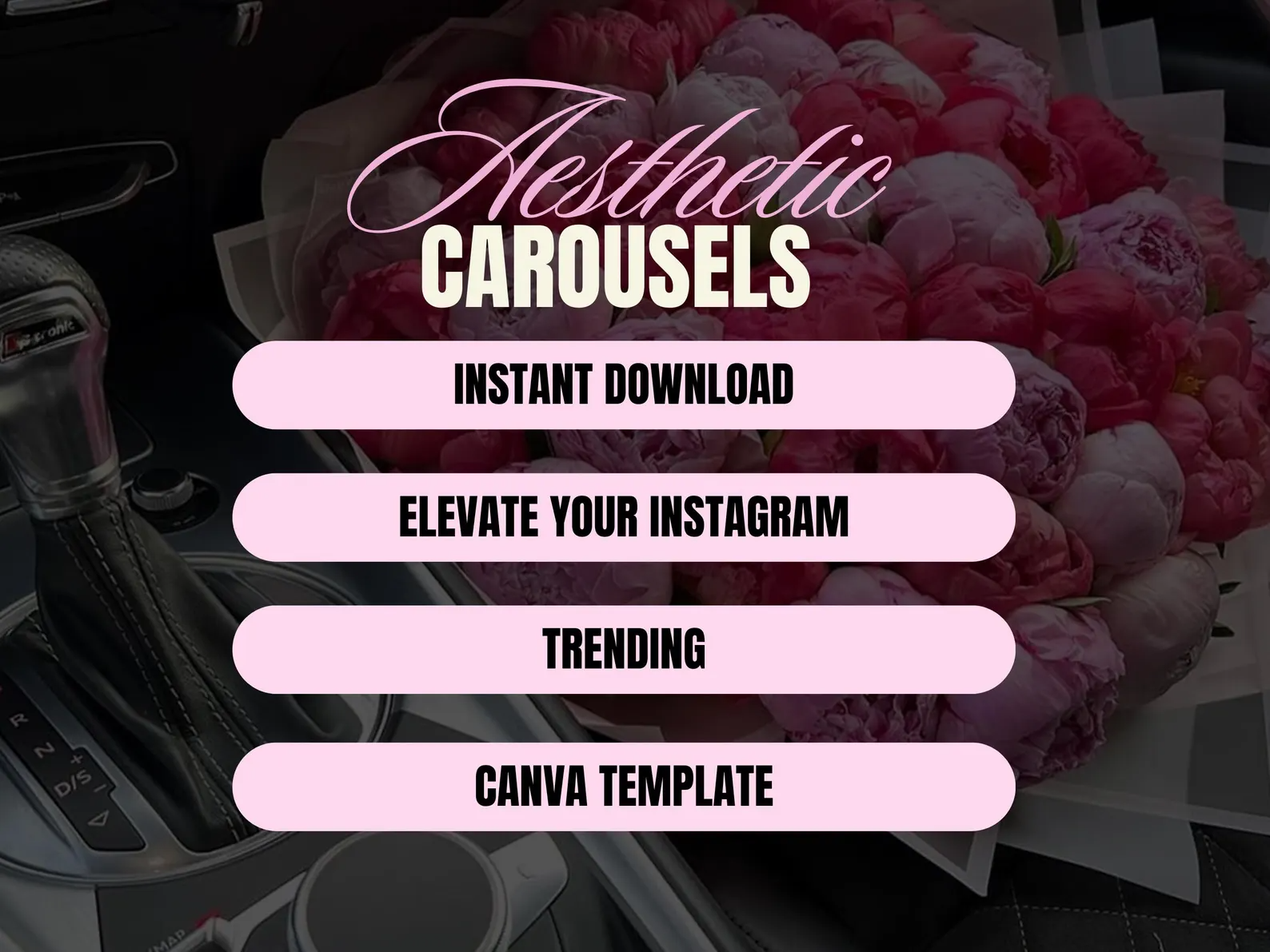 100 Pink Instagram Carousel Templates | Canva Editable + PLR & MRR Resell Rights - Image 3