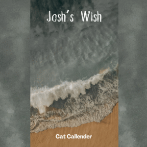 Josh and the Forbidden Wish